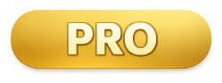 Badge PRO